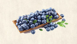 安徽省蓝莓种植合作项目