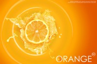 橘子汁项目合作商业计划书