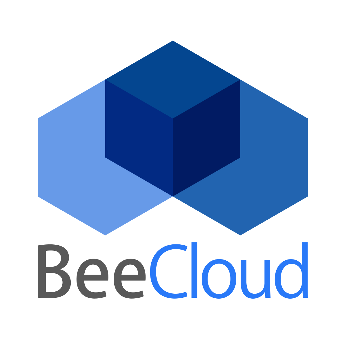 BeeCloud比可网络