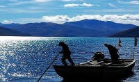 渔业养殖商业计划书市场分析-渔业养殖商业计划书前景预测