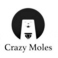 CrazyMoles疯狂鼹鼠