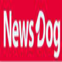 Newsdog
