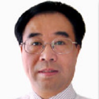 Prof. Limin Chen