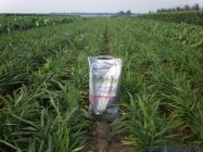 稀土有机磷肥项目合作商业计划书