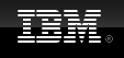 IBM中国有限公司