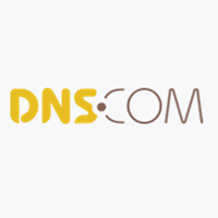 帝恩思DNS