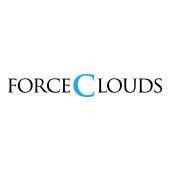 云势软件ForceCloud